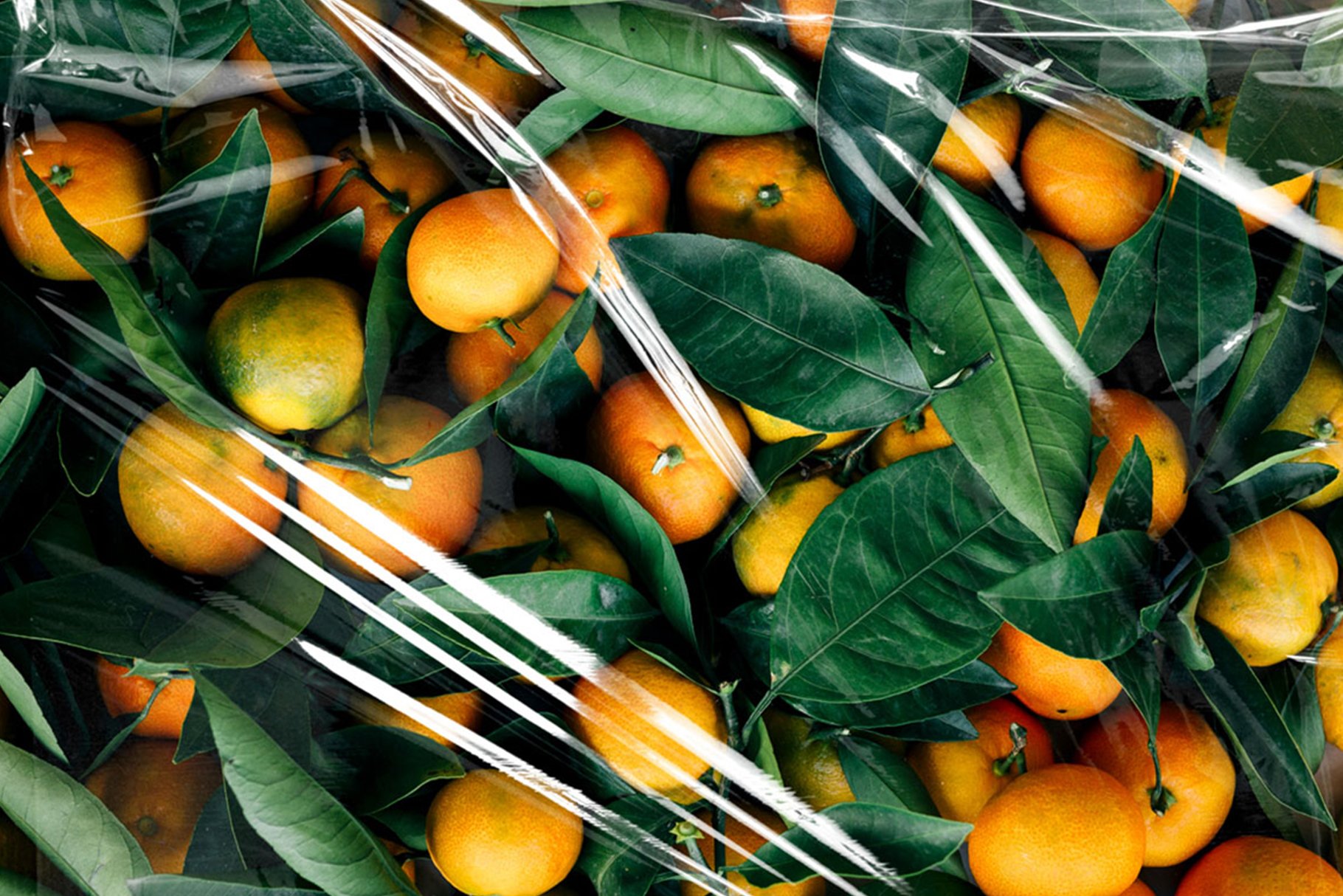 Oranges with plastic texture.