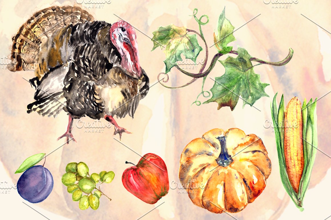 Watercolor Thanksgiving illustrations.
