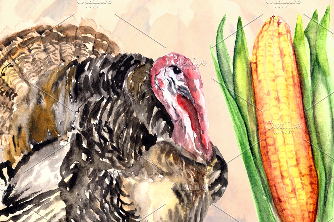 Watercolor turkey with corn.