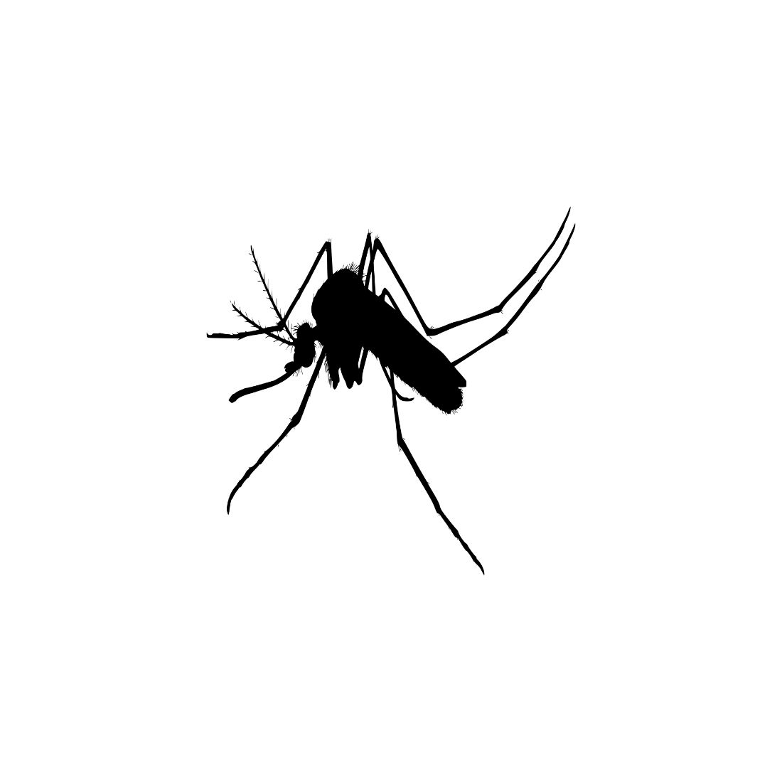 Mosquito Black Silhouette Bundle Preview image.