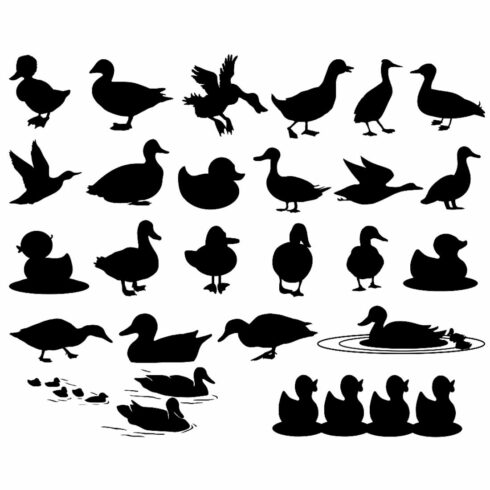 Duck Silhouette Bundle cover image.