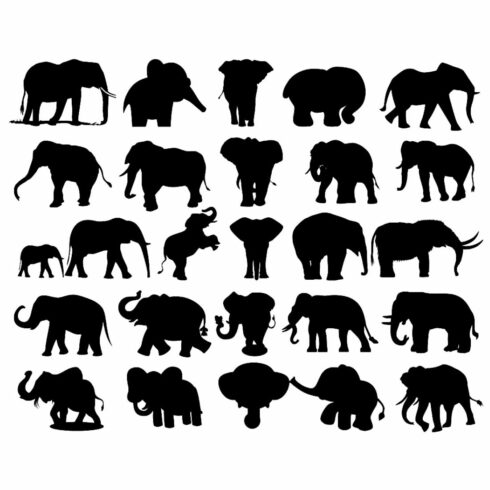 Elephant Silhouette Bundles cover image.