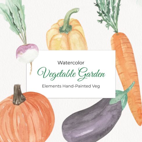 Vegetable Garden Watercolor Elements Hand-Painted Veg.