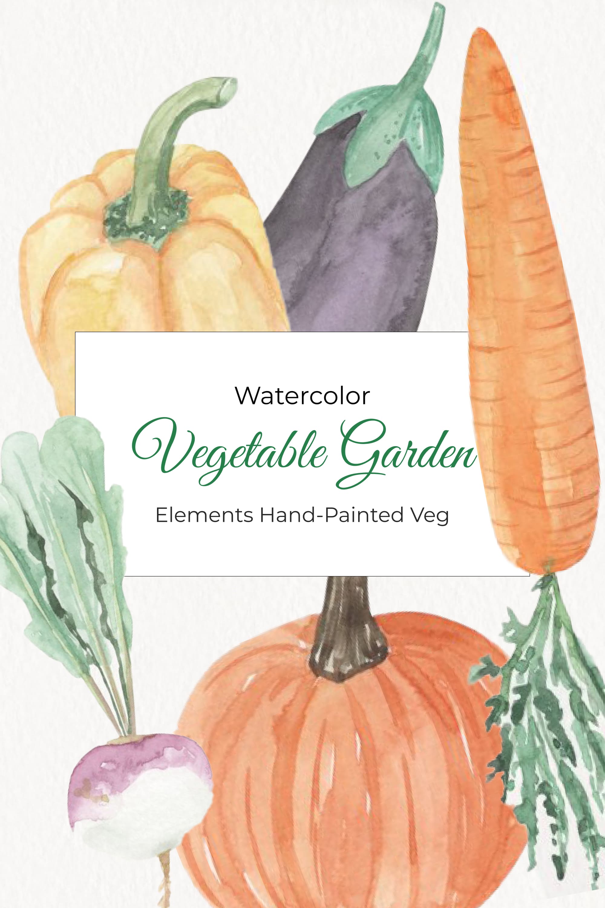 vegetable garden watercolor elements hand painted veg pinterest