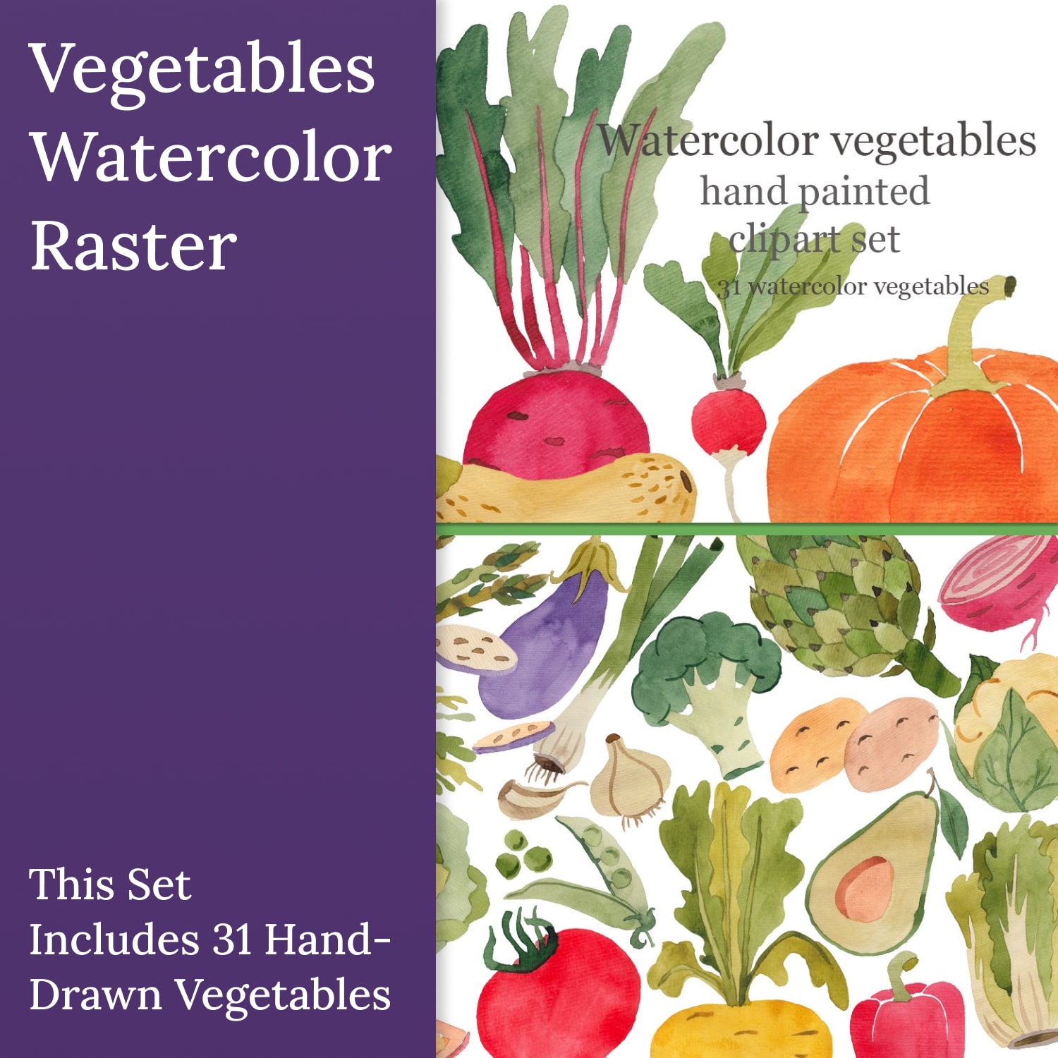 Vegetables watercolor, raster.