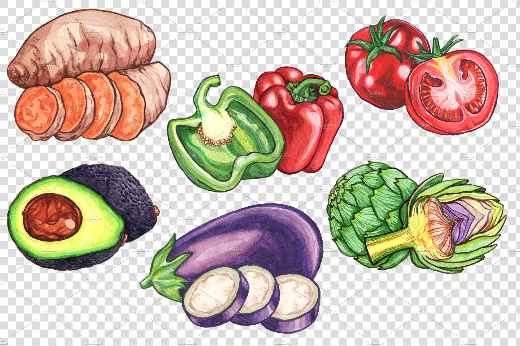 Realistic food illustrations.