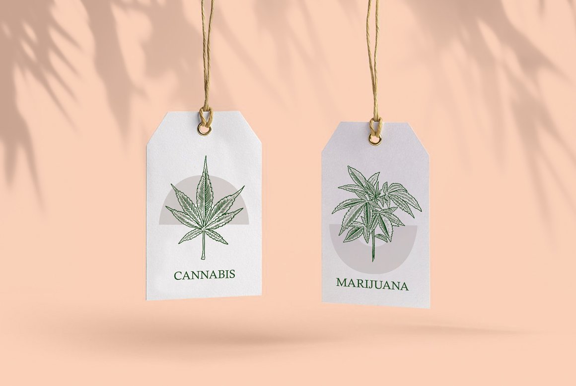 2 labels with cannabis and marijuana.