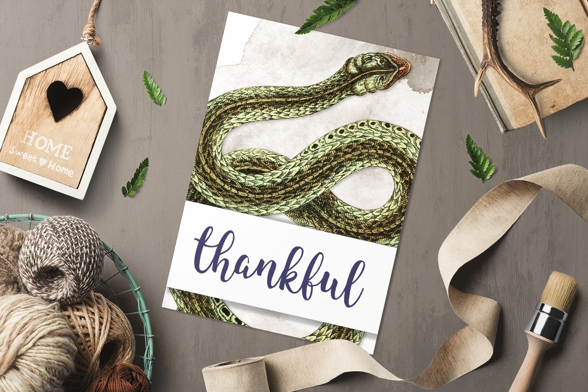 Unusual greeting card with the image of a beautiful viper snake.