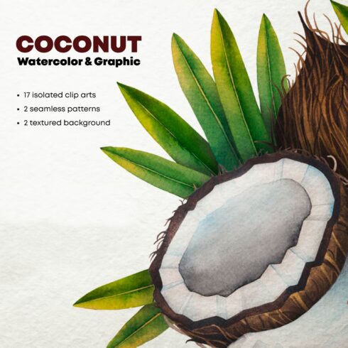 Watercolor and graphic coconut.