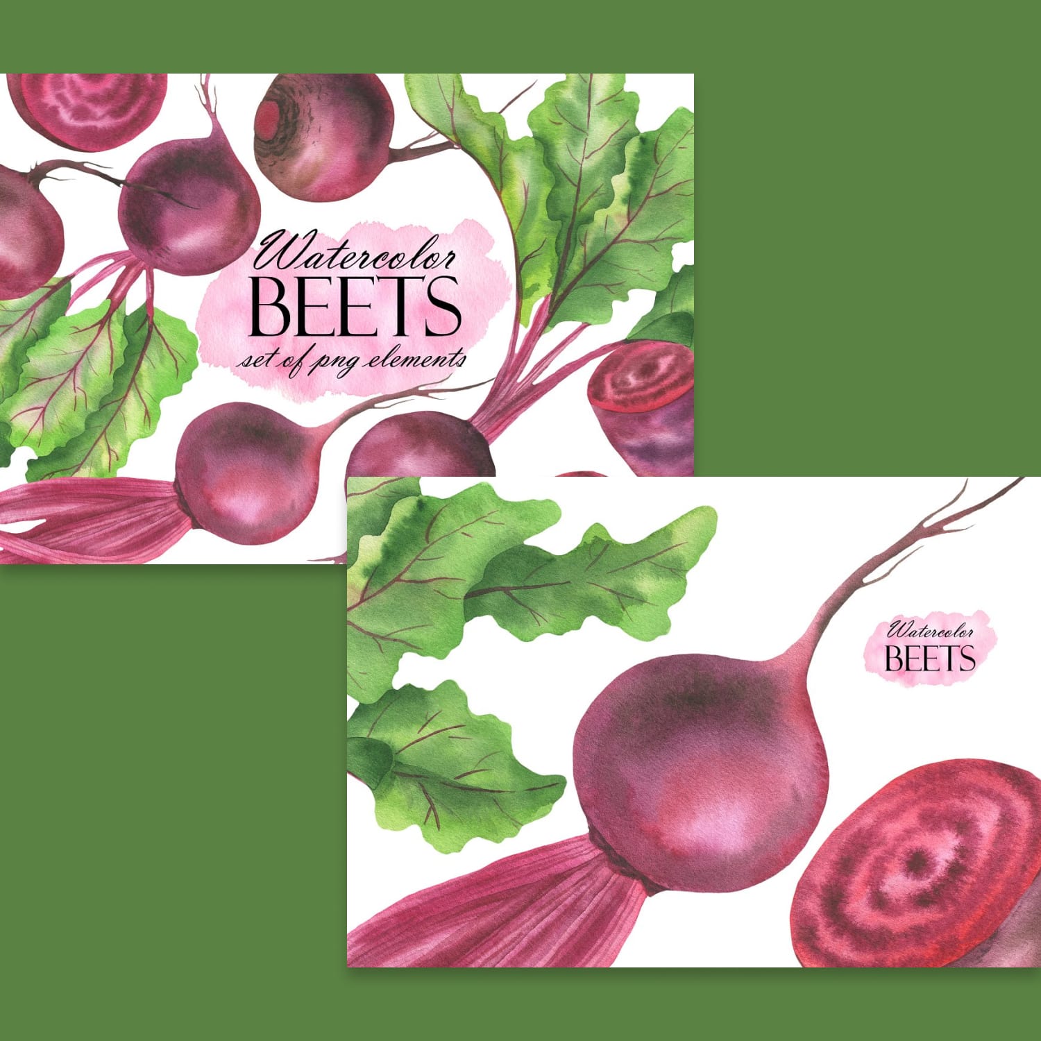 Watercolor Beet cover.