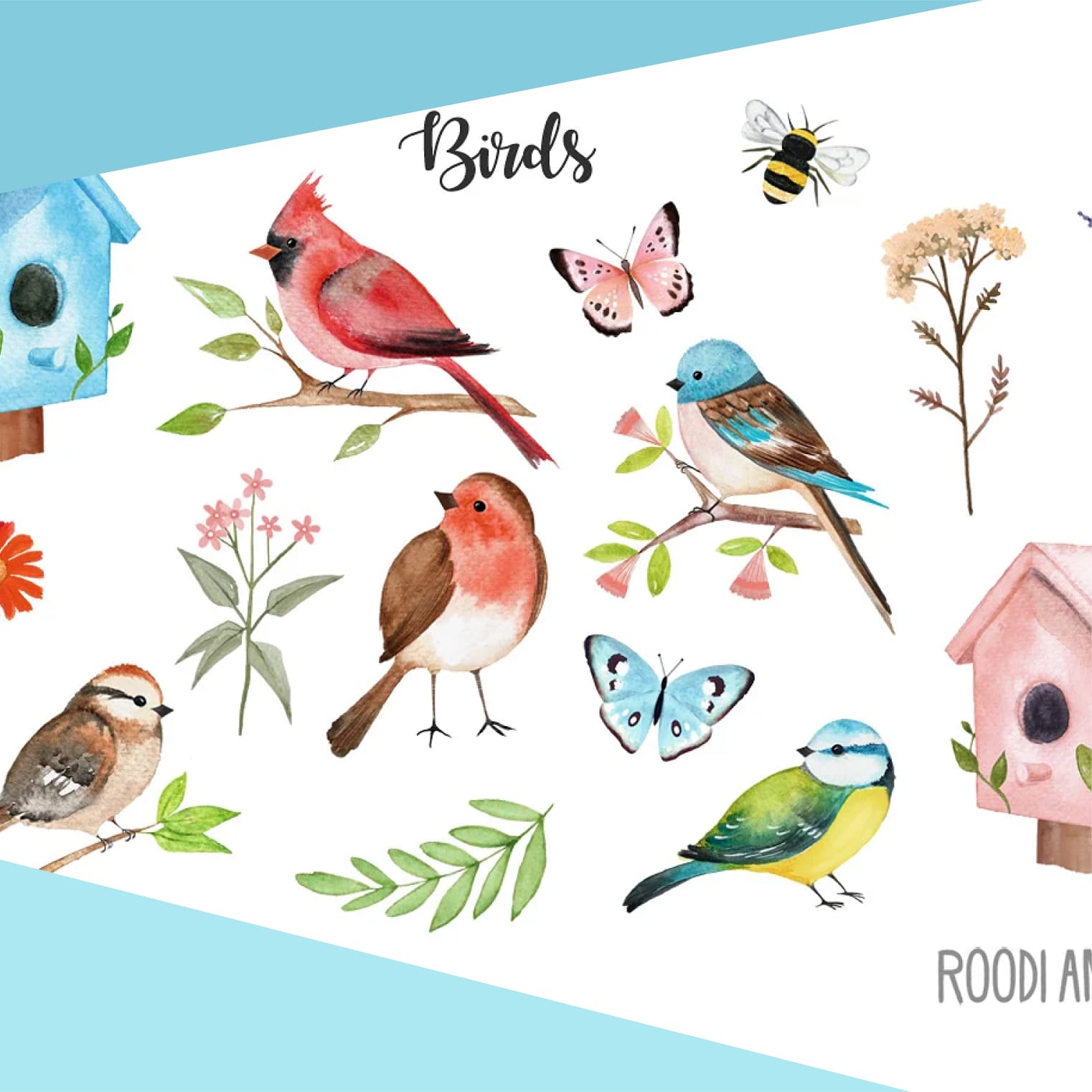 Watercolor Birds cover.