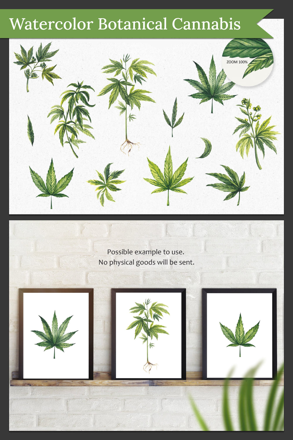 Watercolor Botanical Cannabis sublimation, marihuana PNG - Pinterest.
