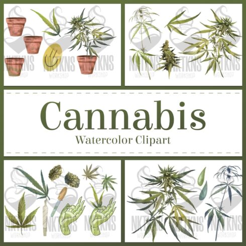 Watercolor cannabis clipart - main image preview.