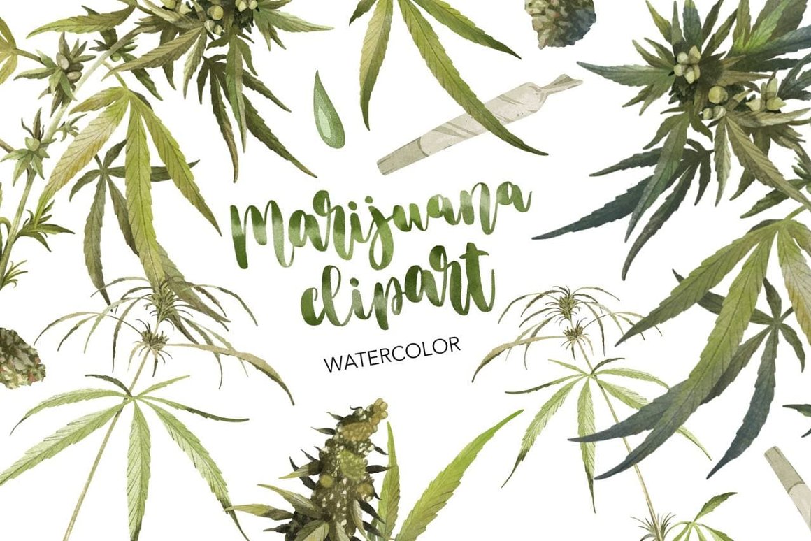 The green lettering "Marijuana Clipart" and different watercolor images of marijuana leaves.