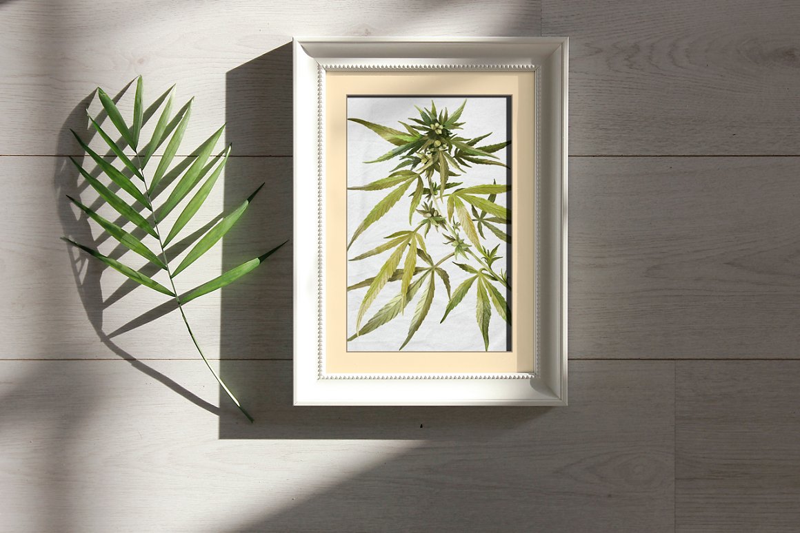 Watercolor marijuana plant in a white wooden frame and marijuana leaf.