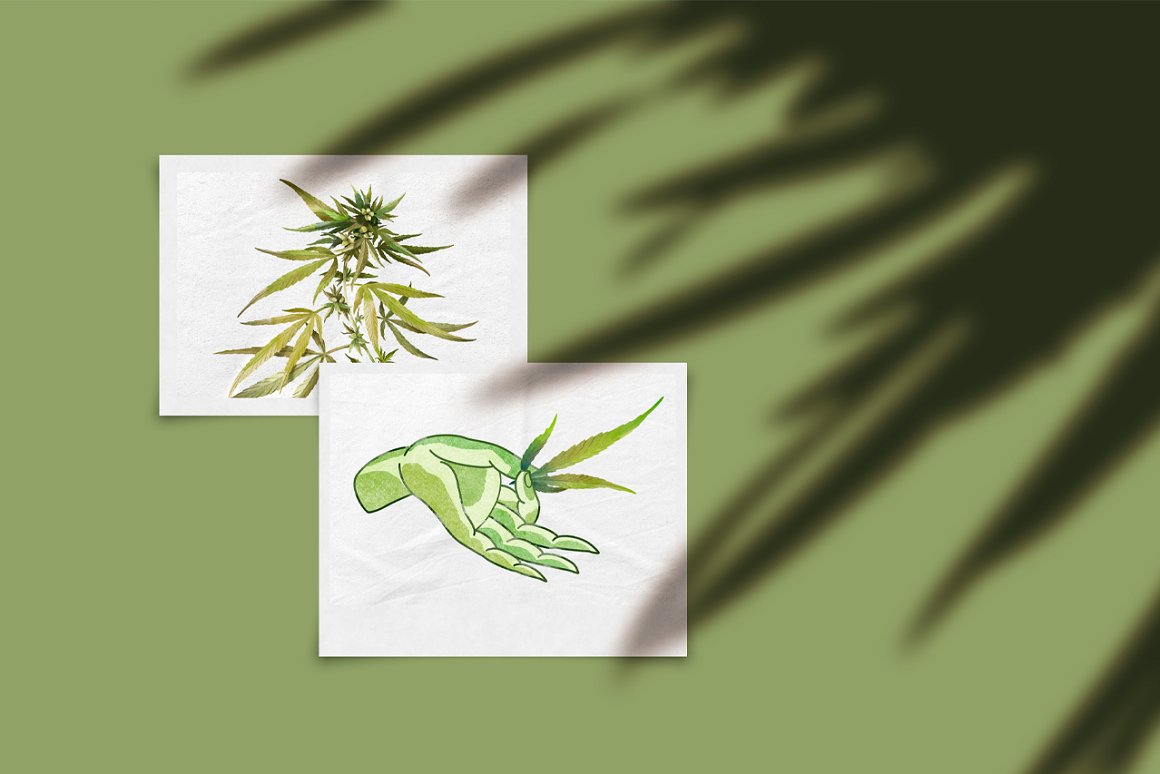 2 watercolor drawings - a marijuana plant and a hand holding a marijuana leaf.