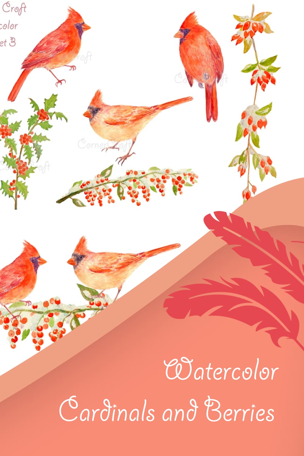 watercolor cardinals and berries1000x1500