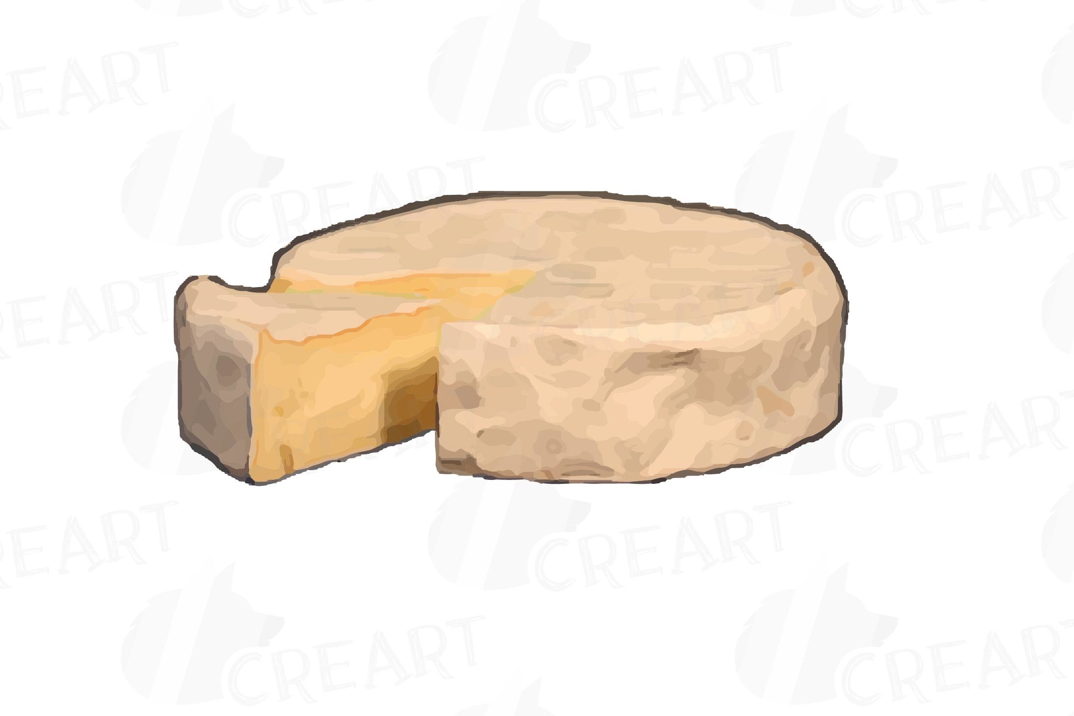 Charming image of hard cheese on a white background.
