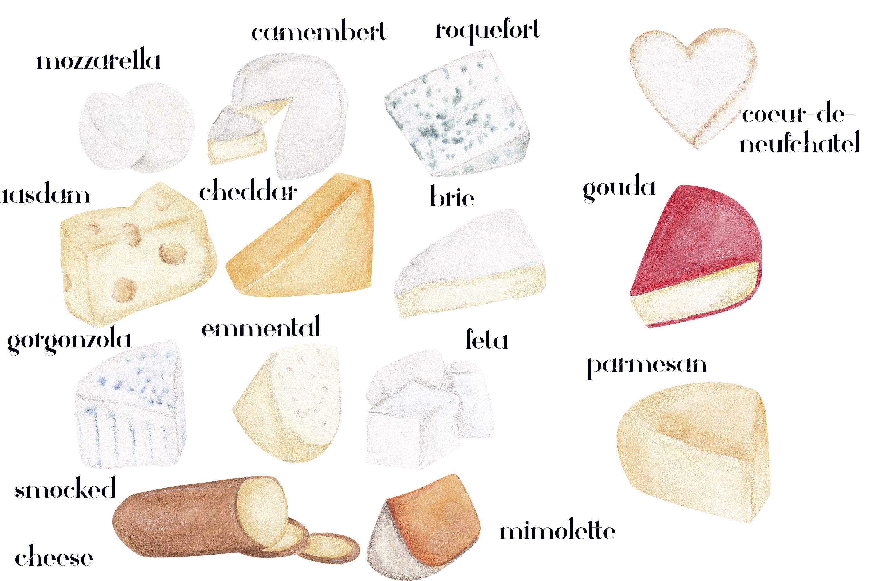 Gorgeous watercolor images of french cheeses.