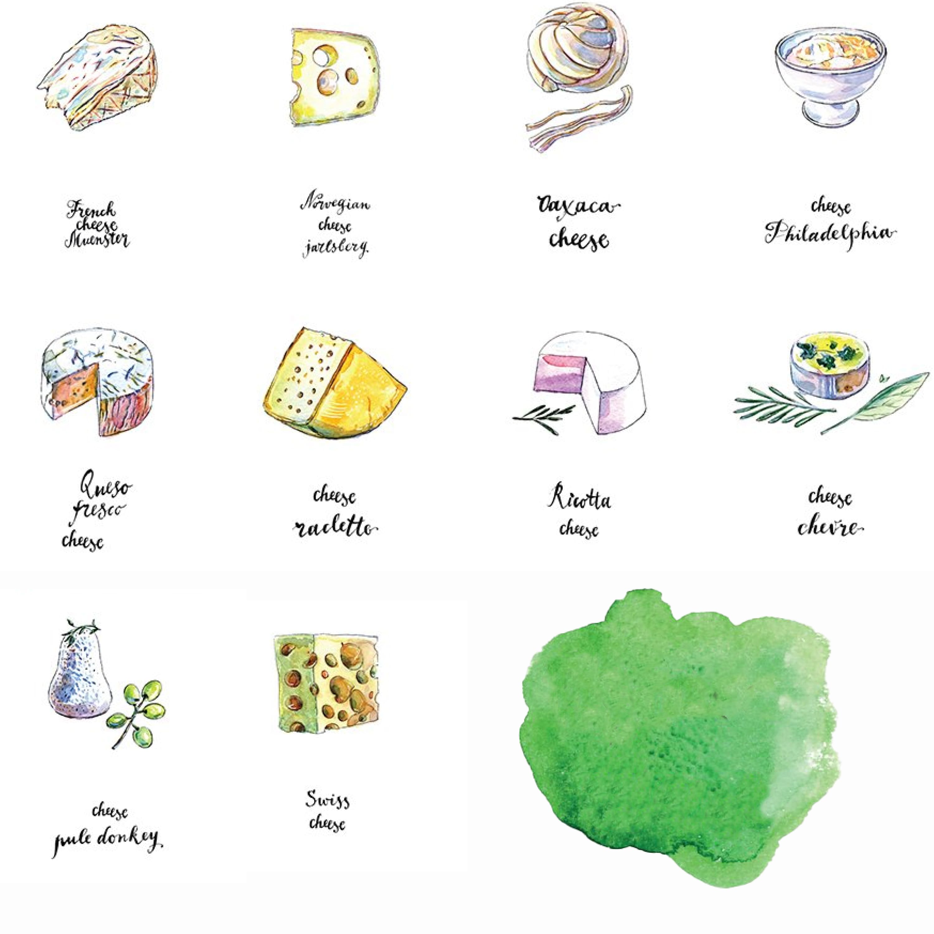Set of colorful watercolor images of hard cheese.