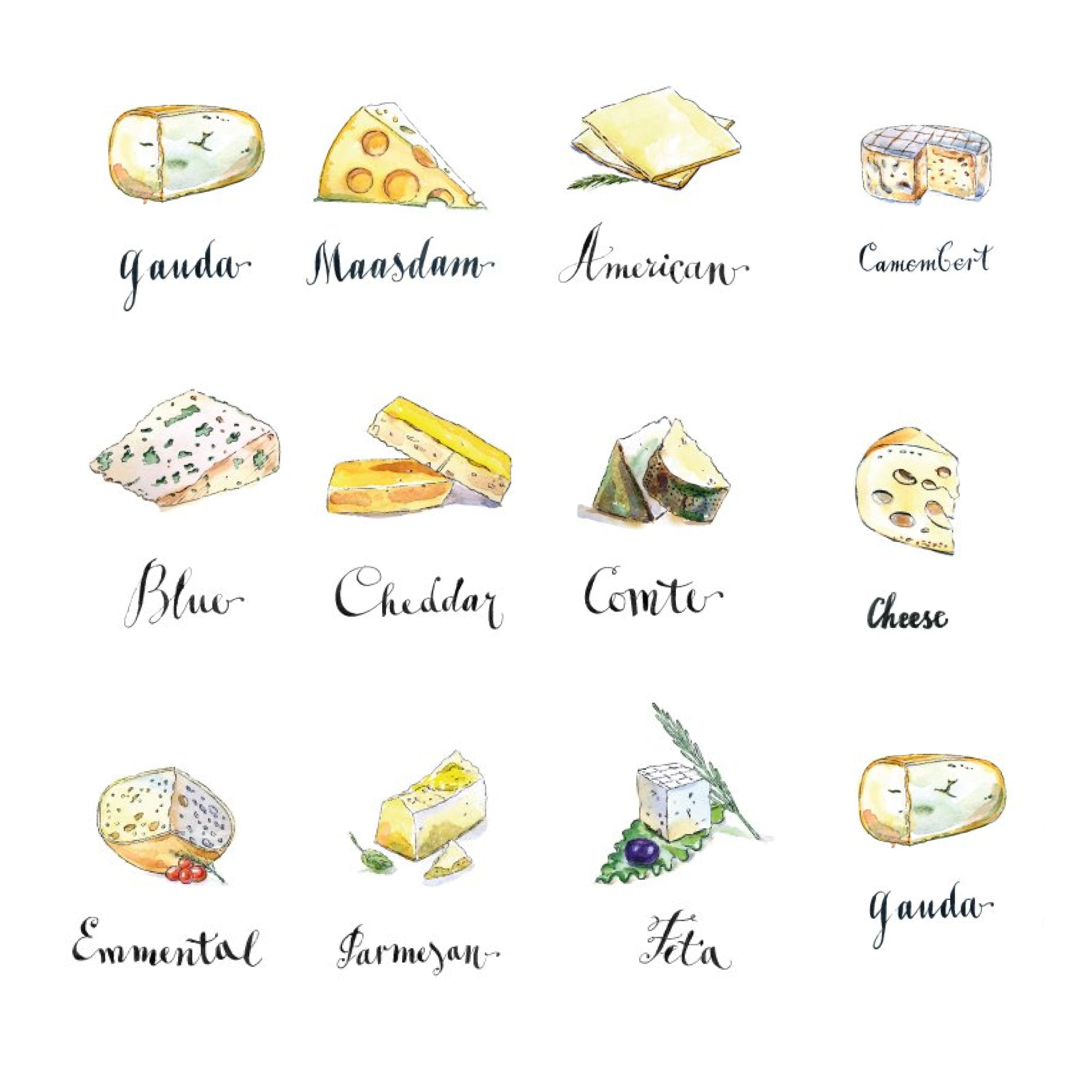 Cartoon image of different types of cheeses drawn by watercolors.