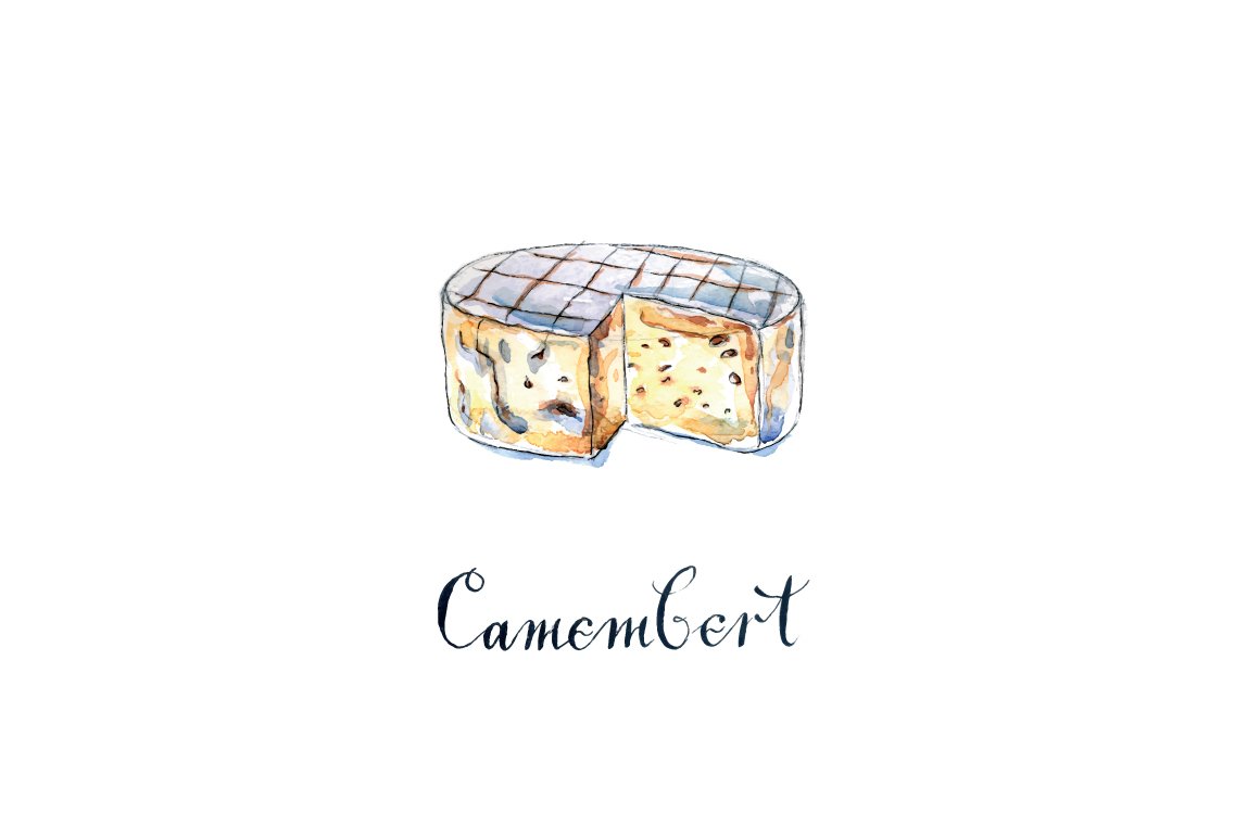 Cheese camembert picture painted in watercolor.