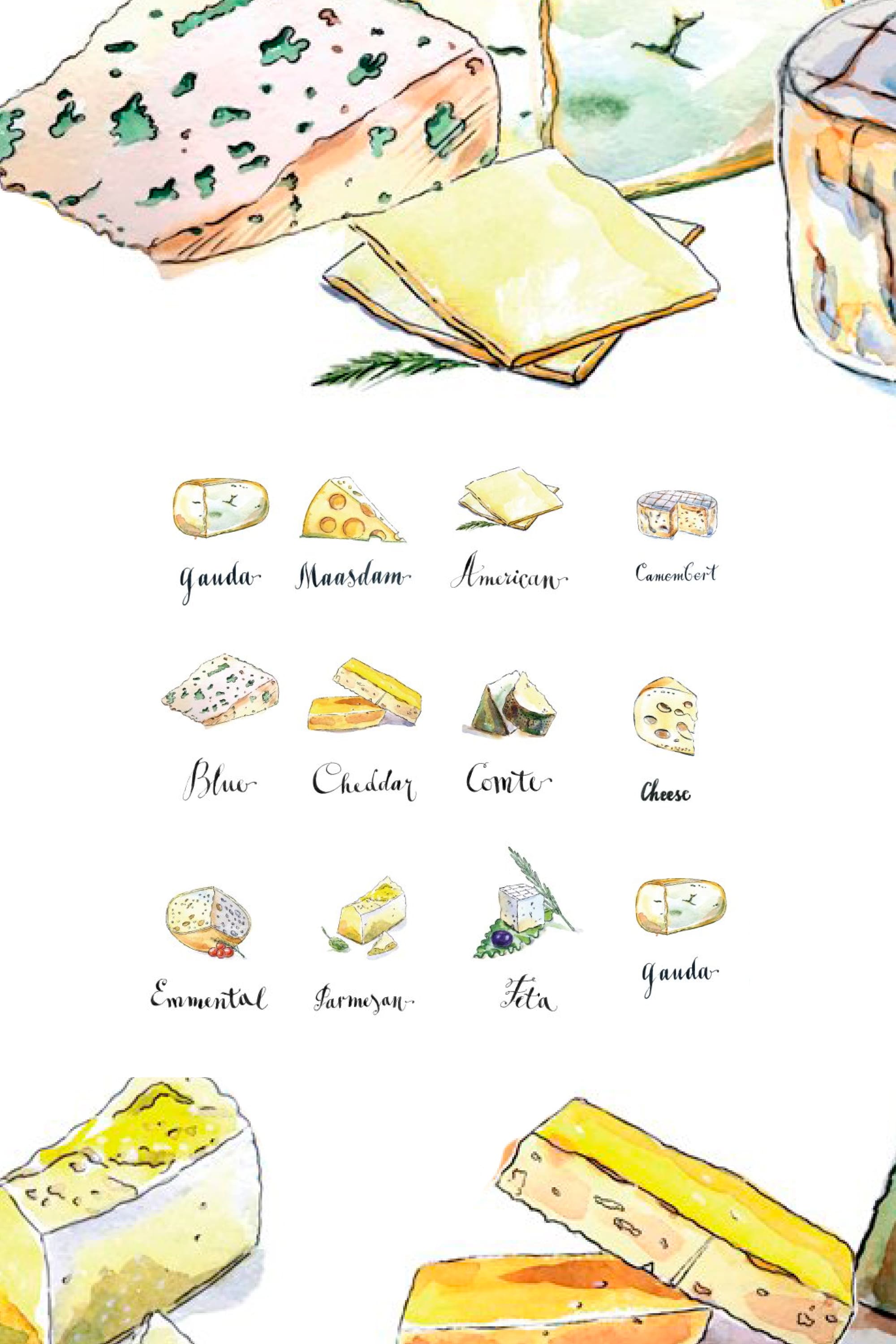 Lovely watercolor illustrations of different types of cheeses.