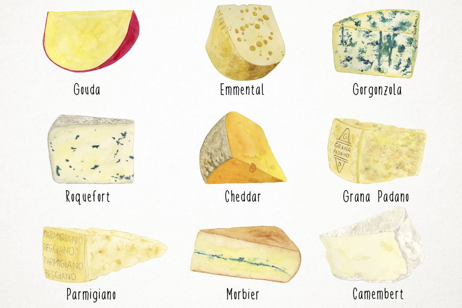 A set of gorgeous watercolors of French cheeses.