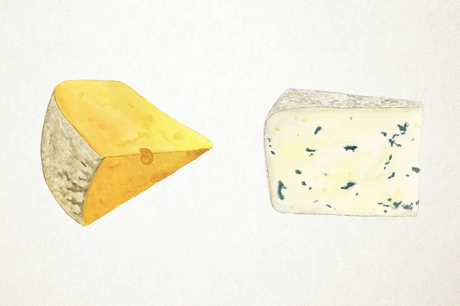 Collection of watercolor images of french cheeses.