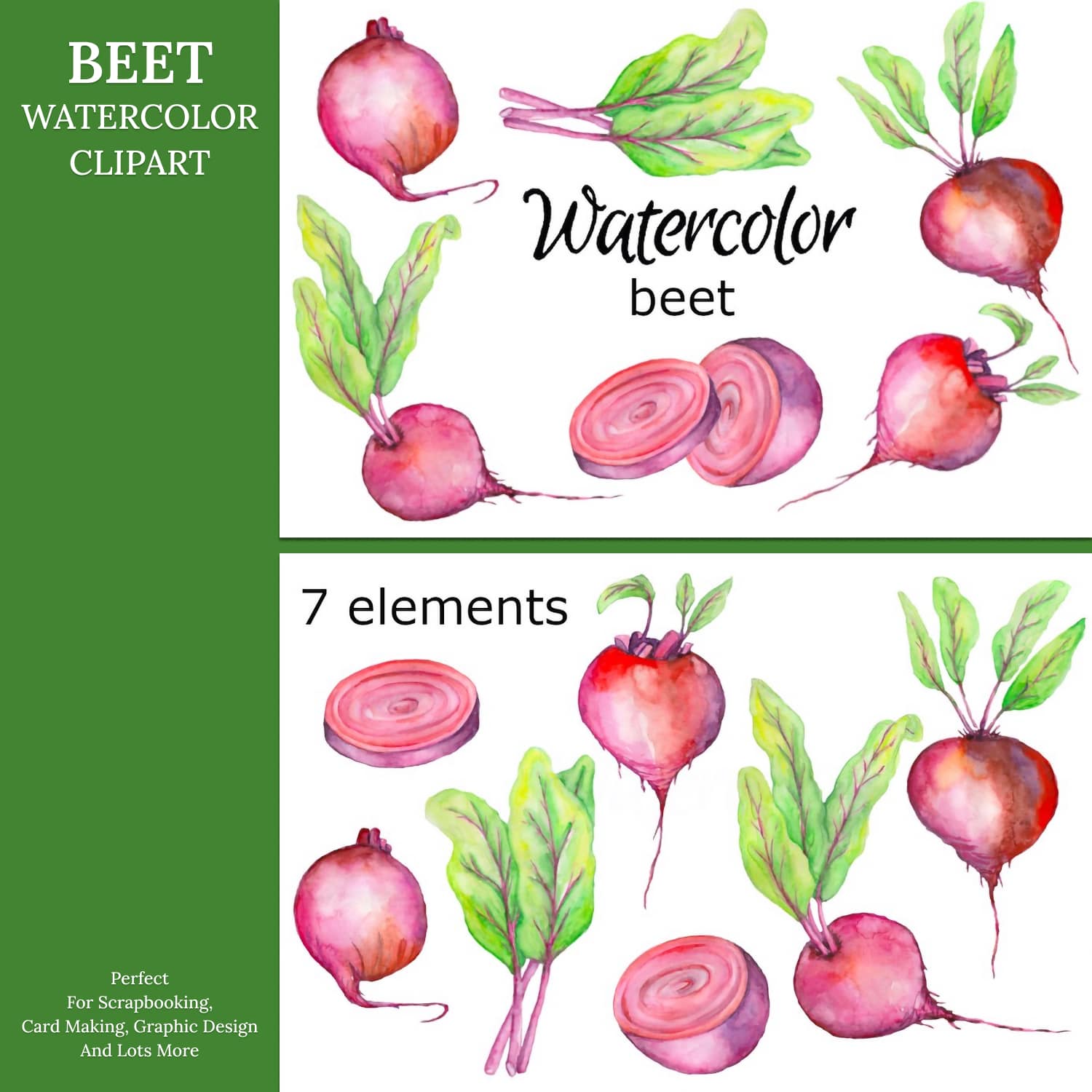WATERCOLOR CLIPART beet vegetables veggies food kitchen.