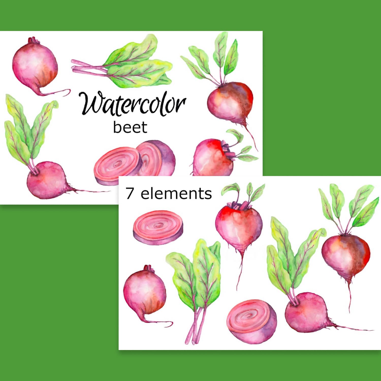 WATERCOLOR CLIPART beet vegetables veggies food kitchen cover.