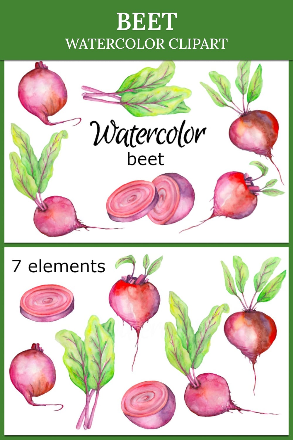 watercolor clipart beet vegetables veggies food kitchen 03 min