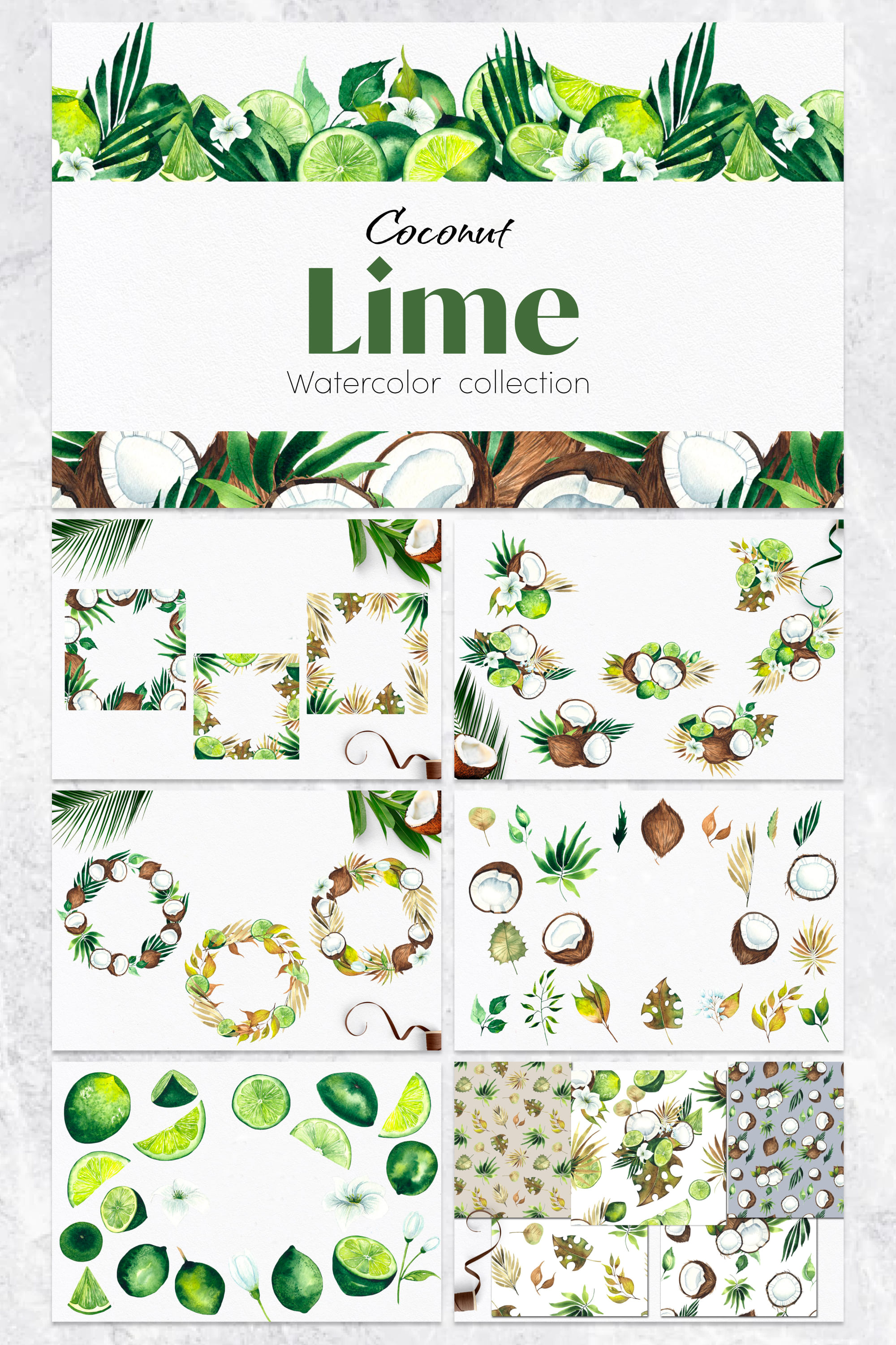 watercolor coconut lime collection pinterest