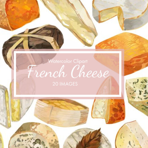 Set of colorful watercolor images of hard cheeses.