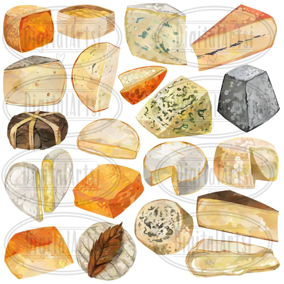 Pack of colorful watercolor images of hard cheeses.