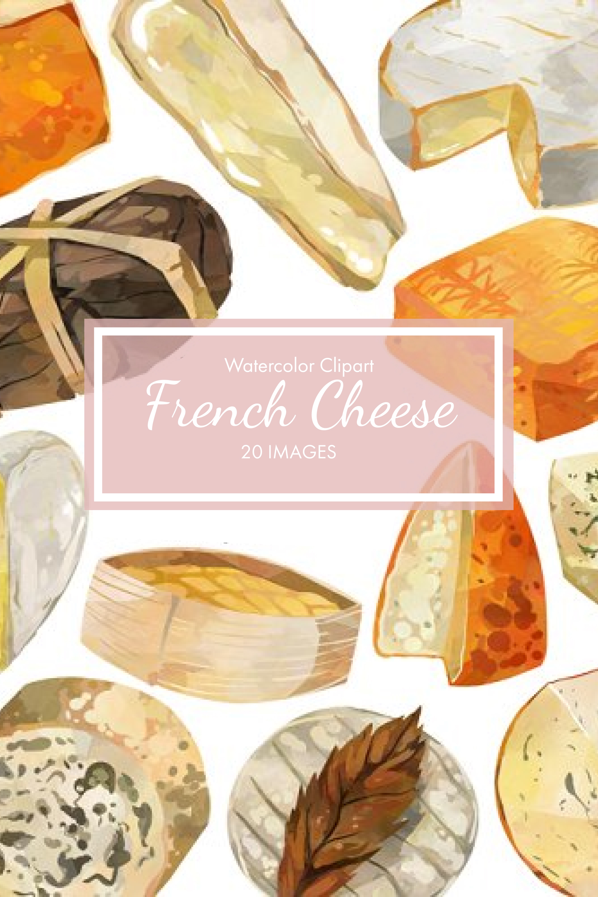 Set of bright vintage images of hard cheeses.