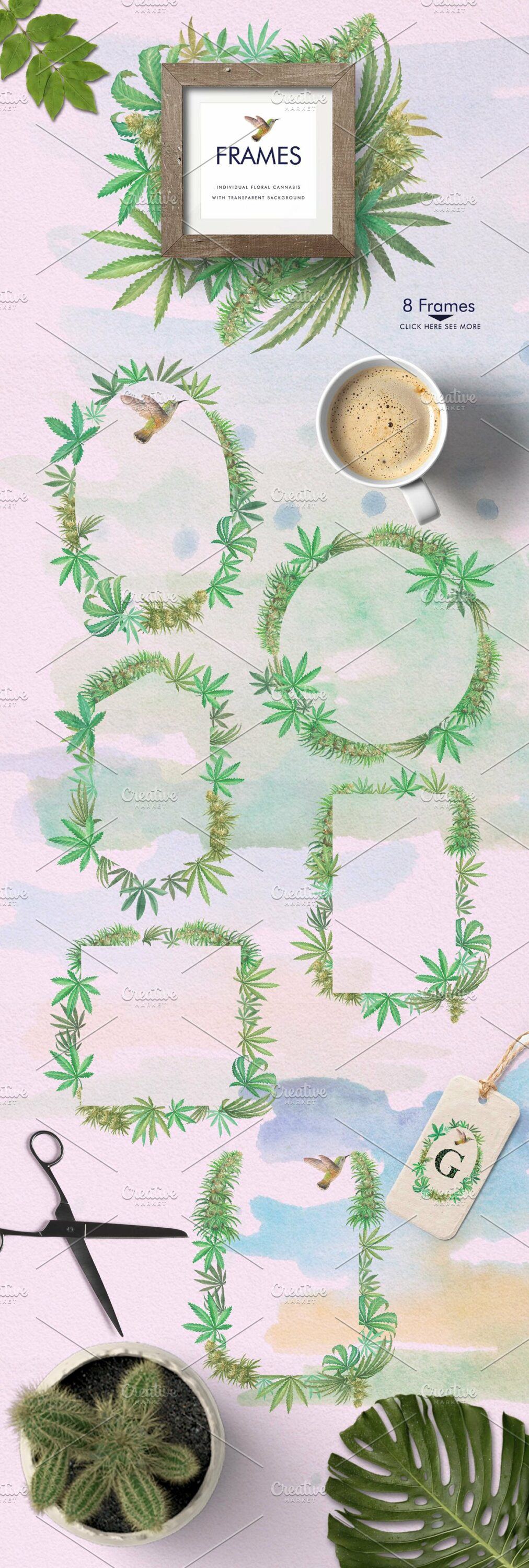 Set of 8 frames with transparent background of marijuana leaves.