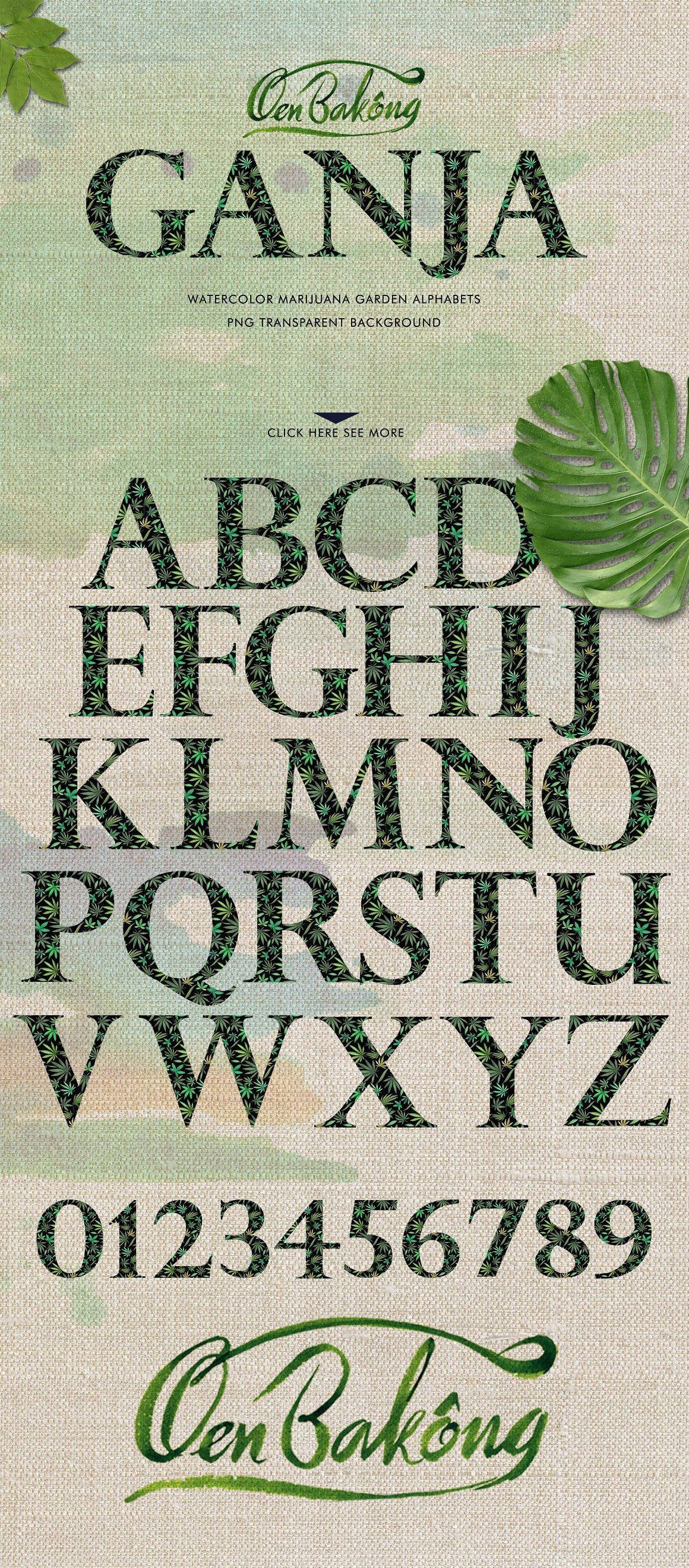 The lettering "Ganja" and set of a garden alphabet and numbers with transparent background with marijuana leaves.