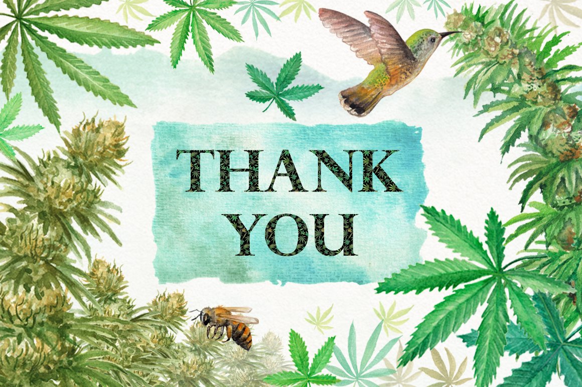 The lettering "Thank you" on a watercolor background and images of marijuana leaves.