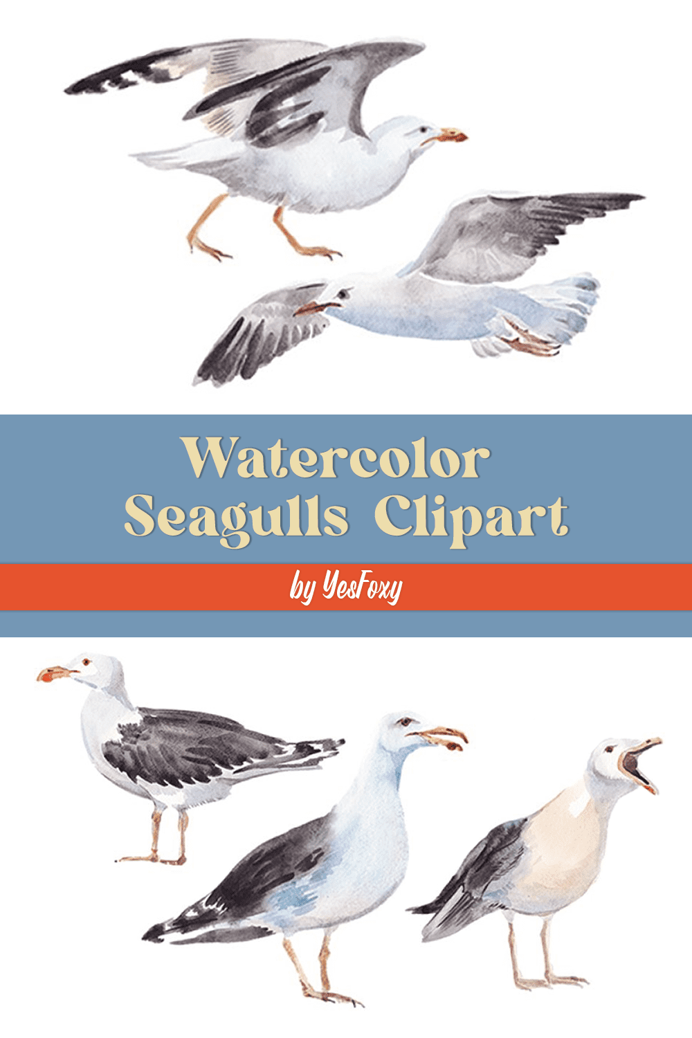 watercolor seagulls clipart pinterest