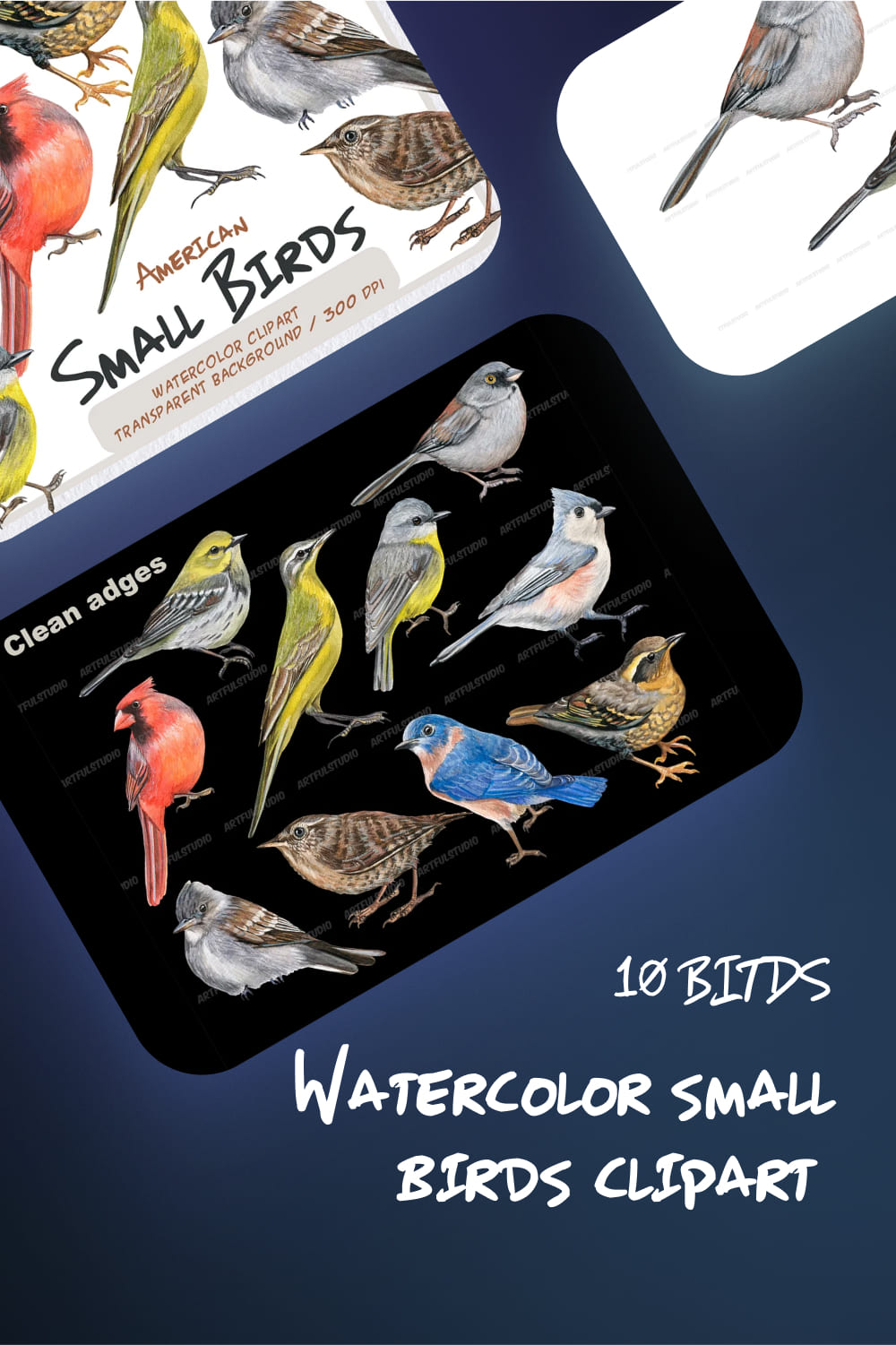 watercolor small birds clipart1000x1500