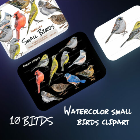 Watercolor small birds clipart.