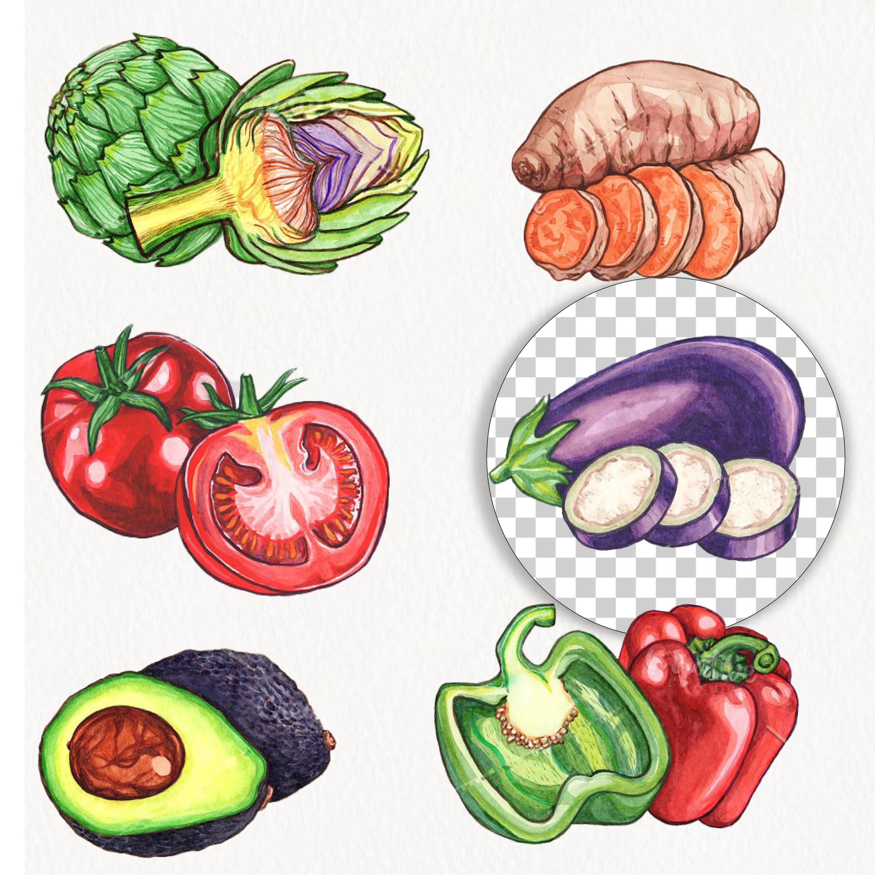 Watercolor Vegetables cover.