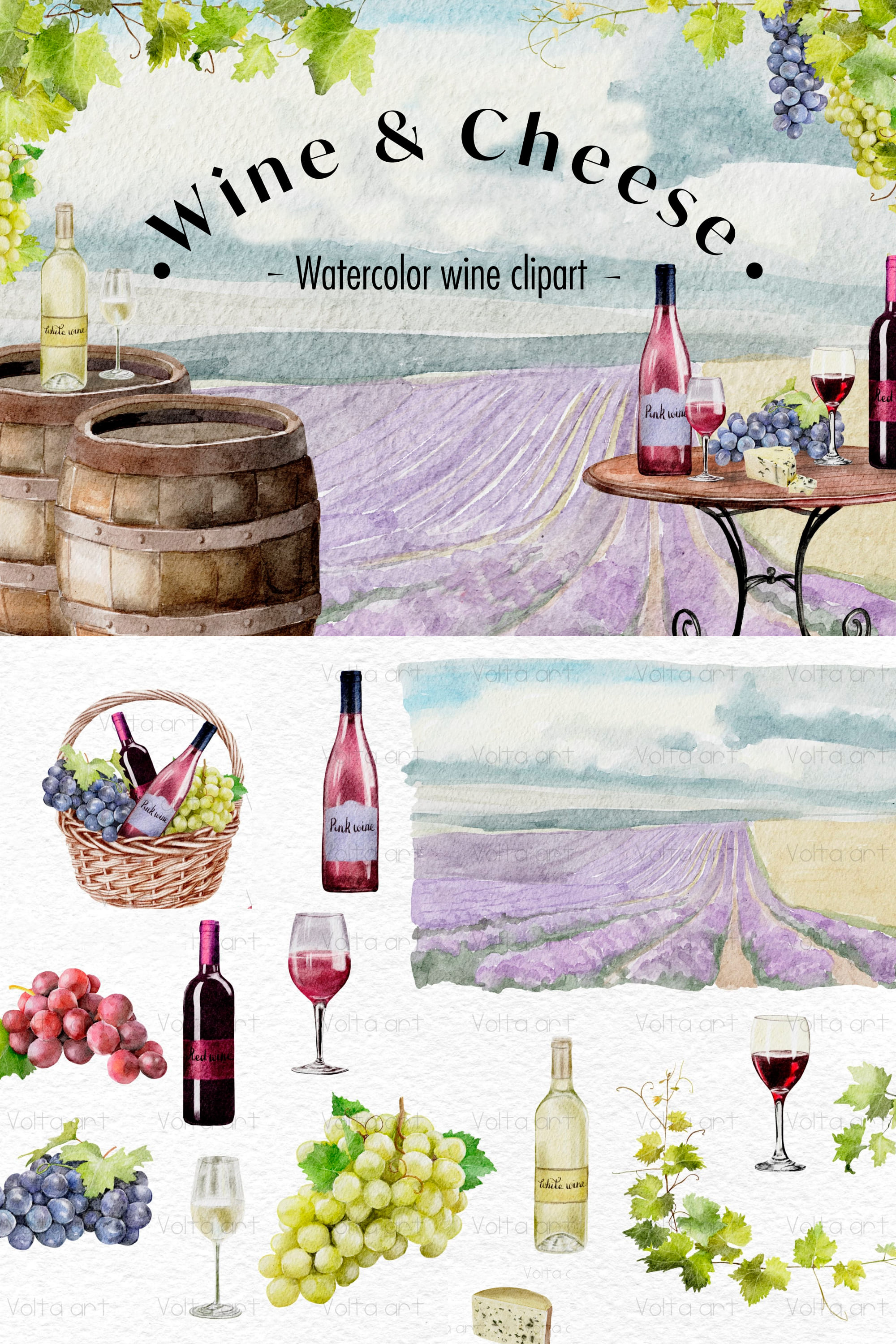 Collection of charming images of grapes and wine with grape fields.