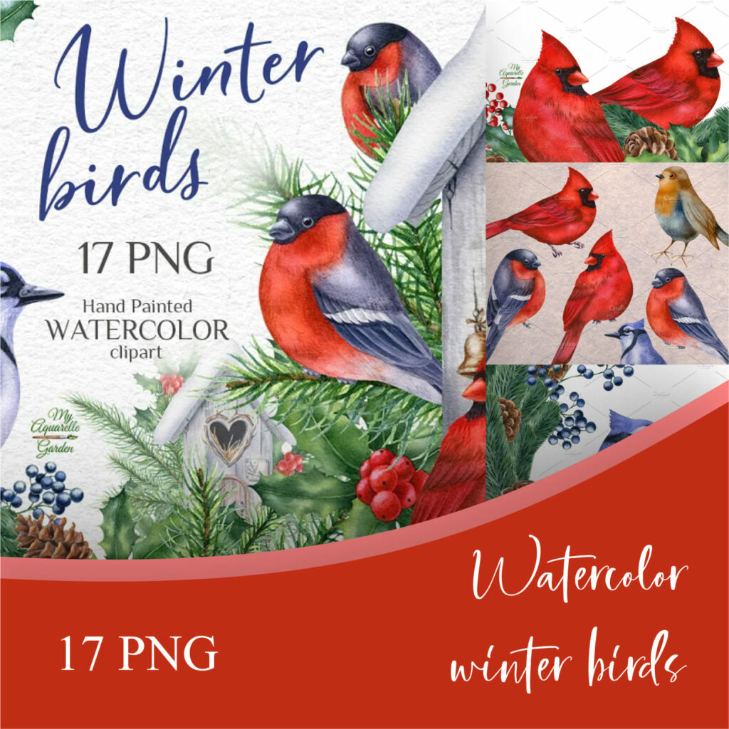 Watercolor Winter Birds – MasterBundles