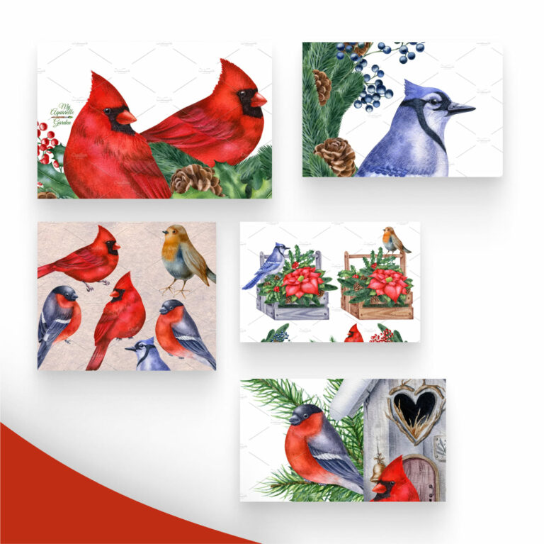 Watercolor Winter Birds – MasterBundles