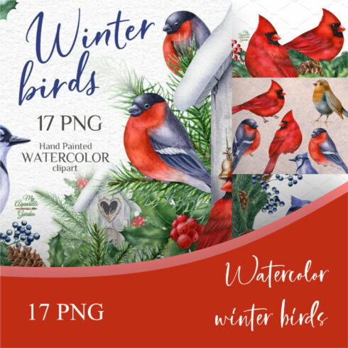 Watercolor winter birds.