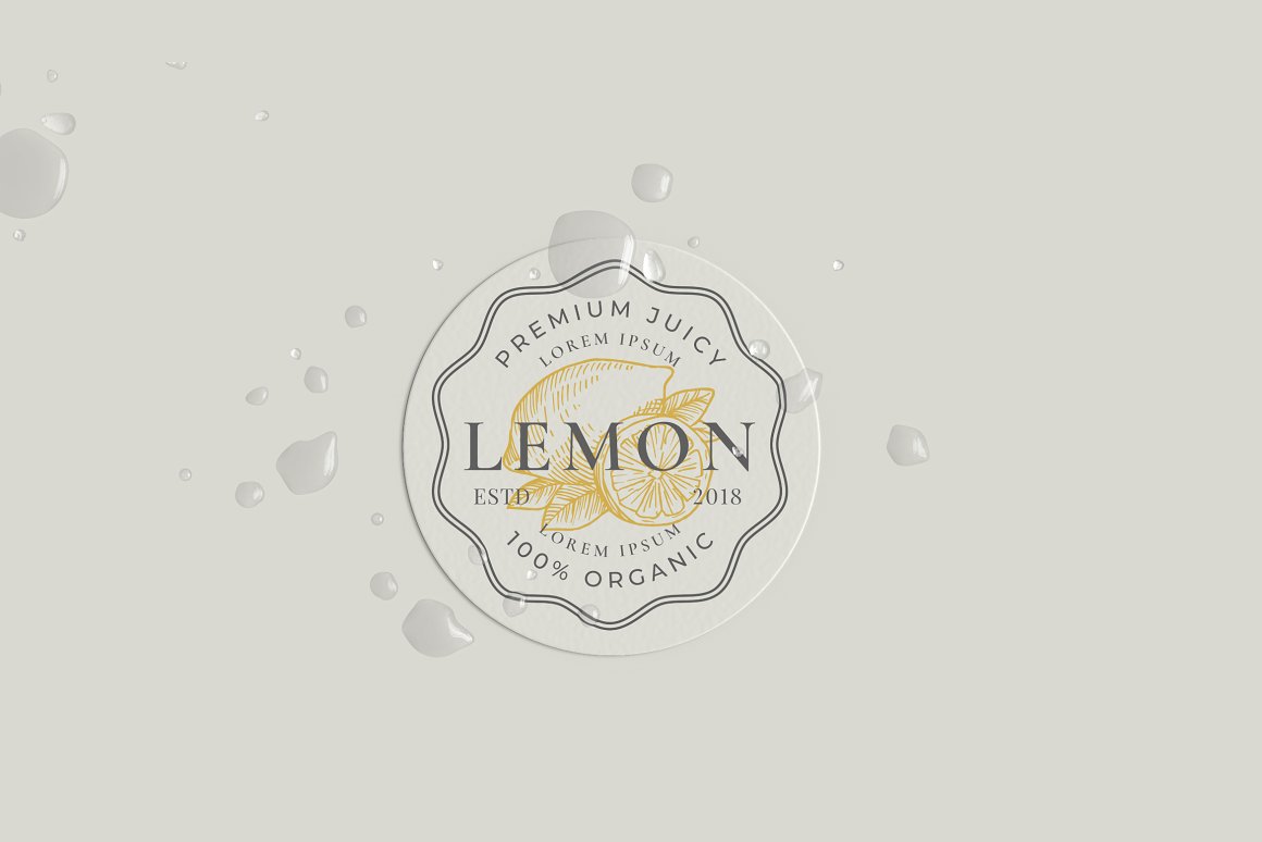 Image of enchanting waterproof sticker with a picture of lemon.