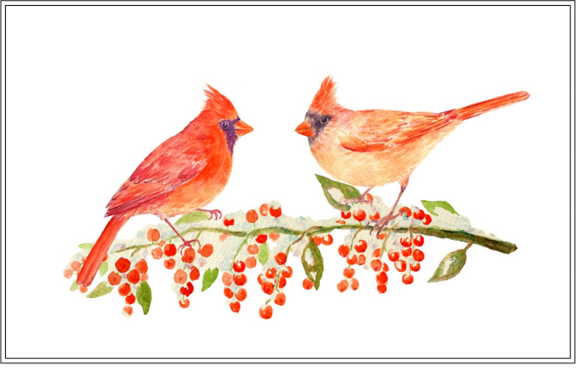 Two lovely watercolor birds.