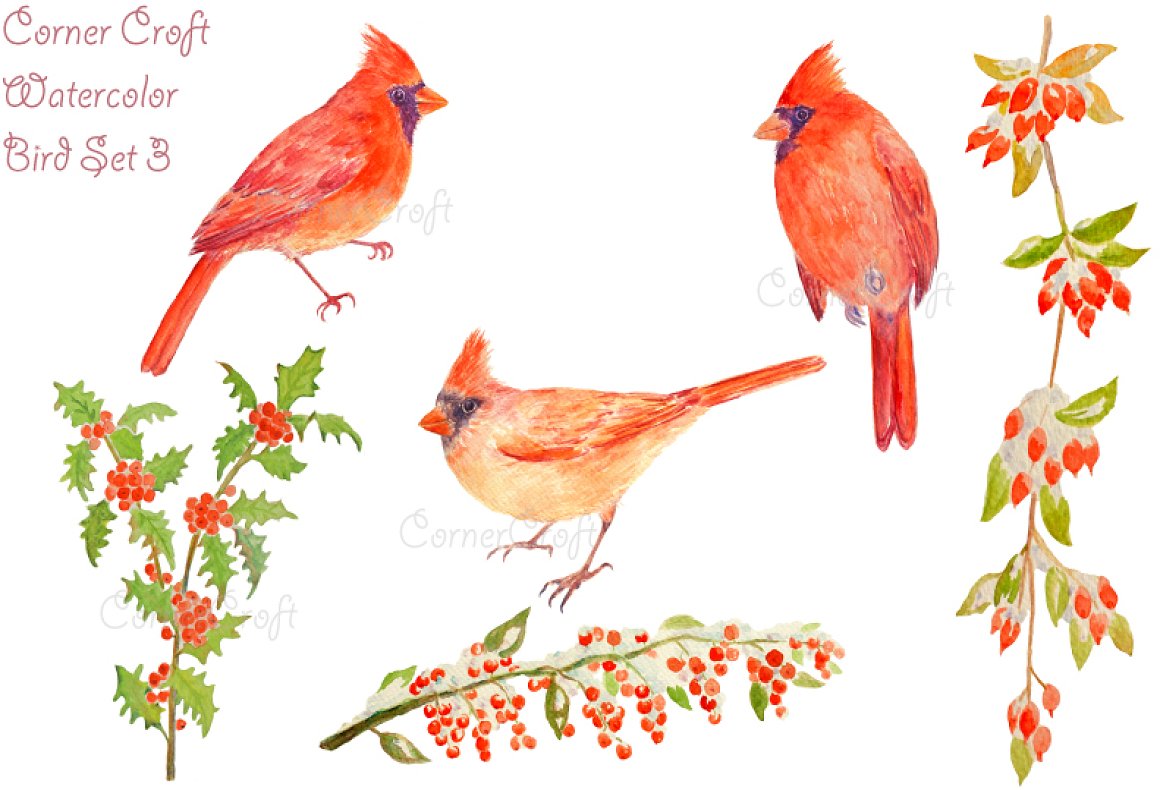 High quality orange birds in a watercolor style.
